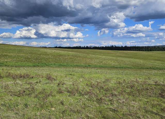 Property at 52XX Wagner Lot A Rd, Springdale, WA 99173