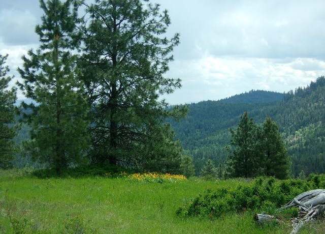 Property at TBD Hoag Rd, Valley, WA 99181