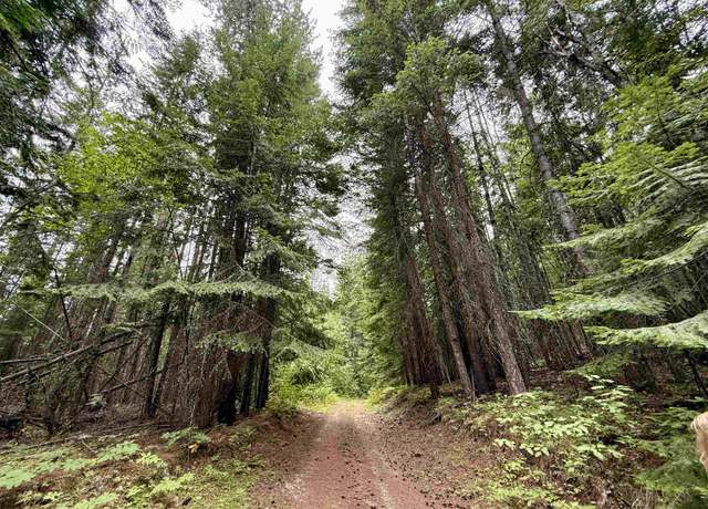 Property at 0 Bergen Rd, Newport, WA 99156