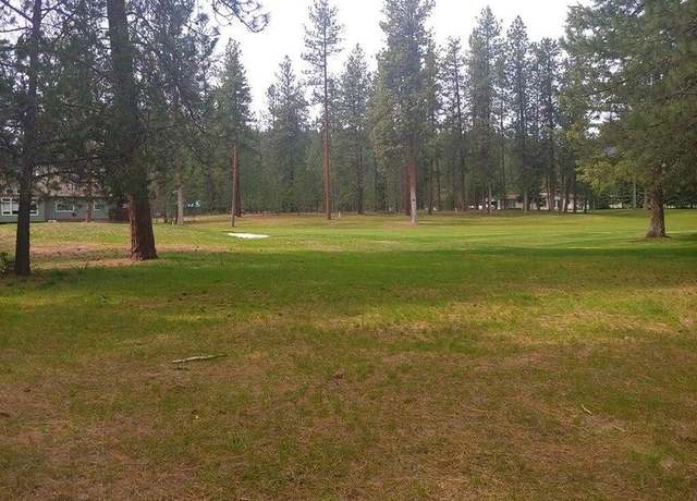 Property at 183 E Trappers Loop, Chewelah, WA 99109