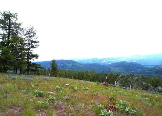 Property at #B Vista View Ln, Inchelium, WA 99141