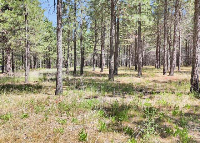 Property at xxx W Burroughs Rd, Deer Park, WA 99006