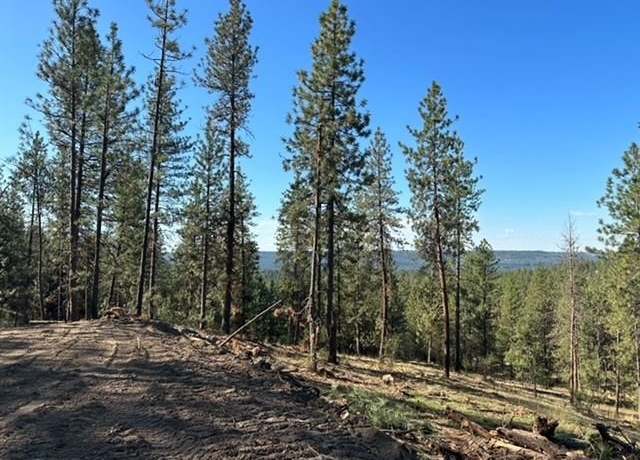 Property at NKA Weaver Way Lot D, Deer Park, WA 99006