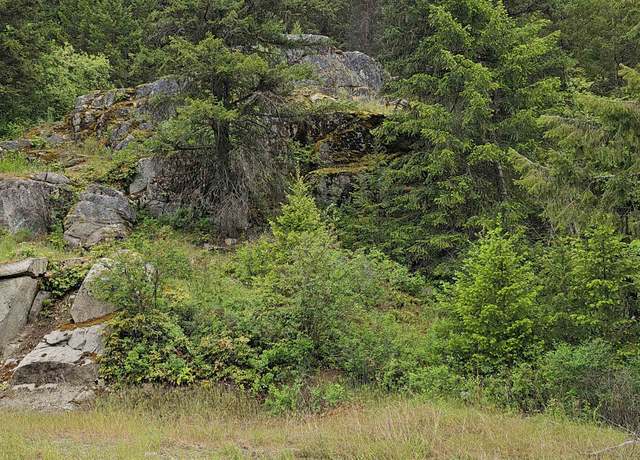 Property at 279X Deep Lake Boundary Rd, Colville, WA 99114