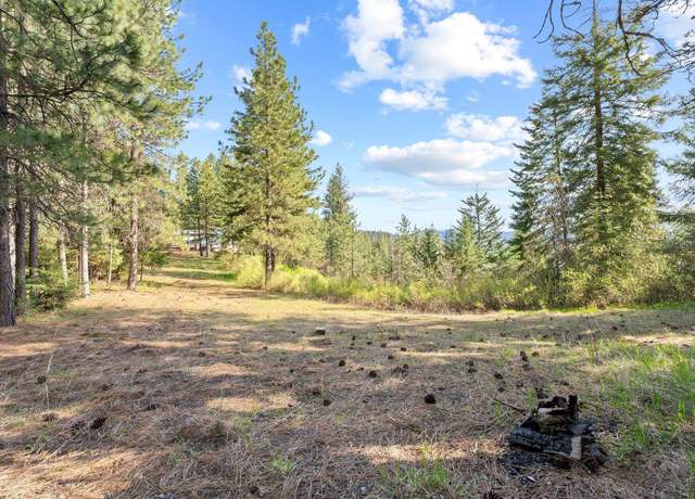 Property at 12703 S Alpine Fern Ln, Rockford, WA 99030
