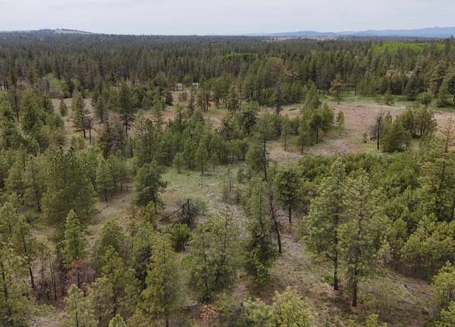 Property at xxxx W Vacant Land Rd, Reardan, WA 99224