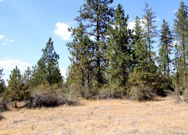 Property at NHN Fisher Rd E Rd Rd, Reardan, WA 99029