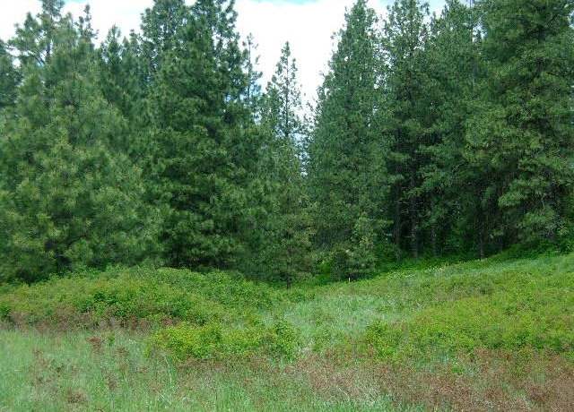 Property at X11X Hoag Rd, Valley, WA 99181