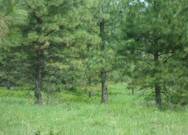 Property at X12X Hoag Rd, Valley, WA 99181