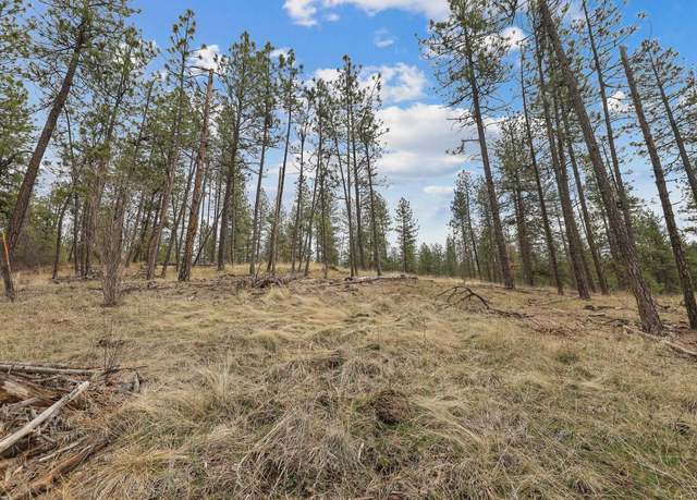 Property at NKA Lower Weaver Way Lot 3 of Lot 9, Deer Park, WA 99006