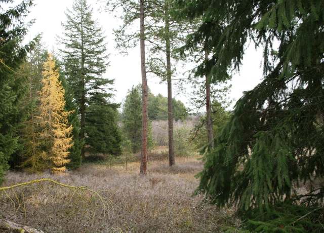 Property at 00 Dahl Lot 7 Rd, Deer Park, WA 99006