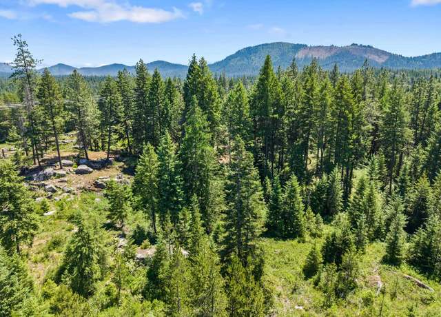 Property at 222 Diamond View Rd, Newport, WA 99156