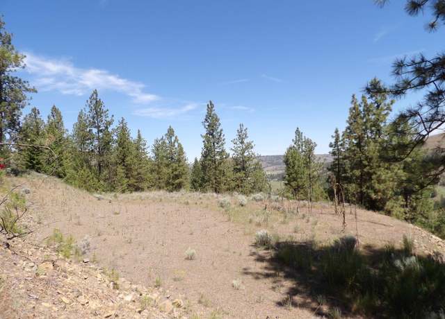 Property at Lot 2 Chukar Short Plat Ln, Davenport, WA 99122