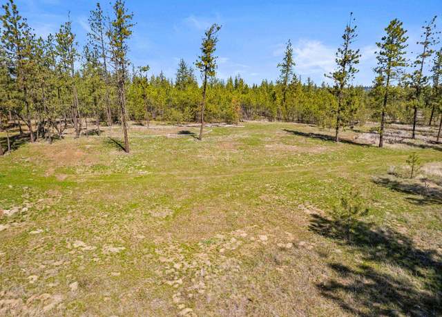Property at 5742 Corkscrew Canyon Rd Lot 3, Tumtum, WA 99034