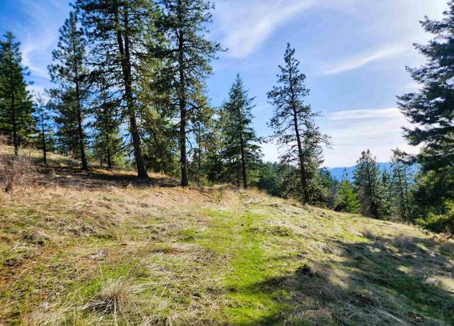 Property at 4021 Bissell Rd, Hunters, WA 99137