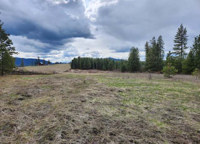 Property at 299x Bakie Rd, Valley, WA 99181