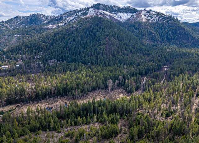 Property at 41XX Grouse Creek Rd, Loon Lake, WA 99148