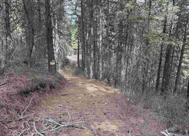 Property at NNA Buck Creek Rd, Loon Lake, WA 99148