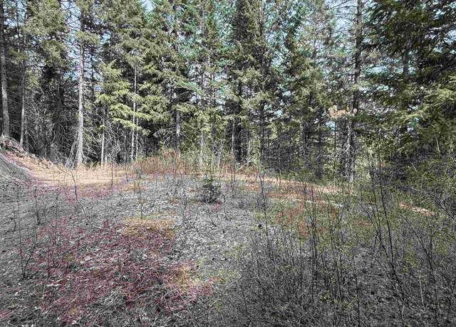 Property at NNA Buck Creek Rd, Loon Lake, WA 99148