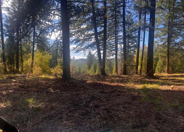 Property at XXX Horseshoe Lake Rd, Deer Park, WA 99006