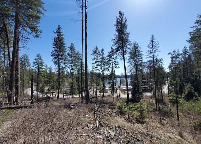 Property at 54XX Northshore Diamond Lake Rd Rd, Newport, WA 99156