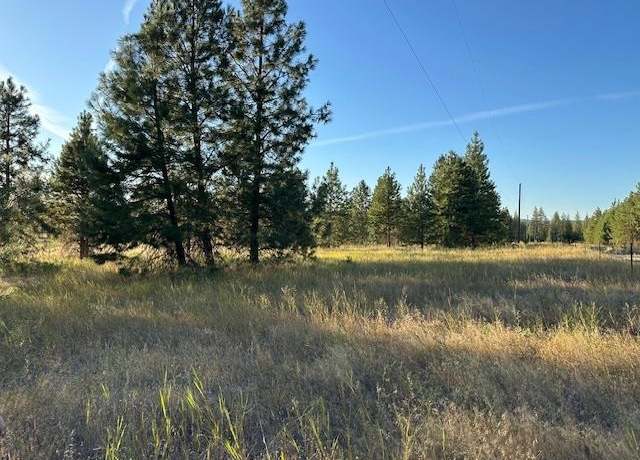 Property at 5335 B 231 Hwy, Ford, WA 99013