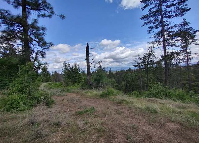 Property at xx Ranch Rd, Loon Lake, WA 99148