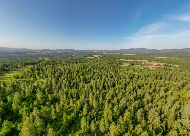 Property at 8414 E Lodge Pole Ln, Chattaroy, WA 99003