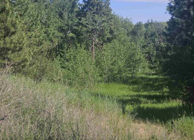 Property at xxxx W Orchard Heights 14242.0172&14242.0175 Rd, Cheney, WA 99004