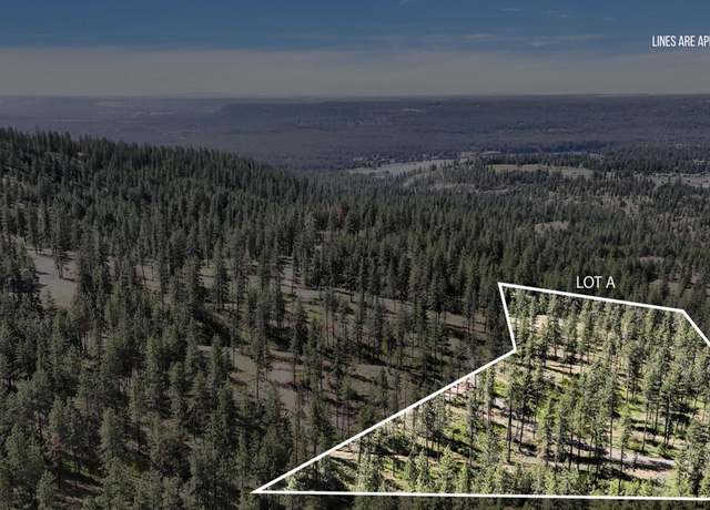 Property at NKA Lower Weaver Lot A Way, Deer Park, WA 99006