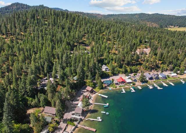 Property at 463xx Larson Beach Rd, Loon Lake, WA 99148