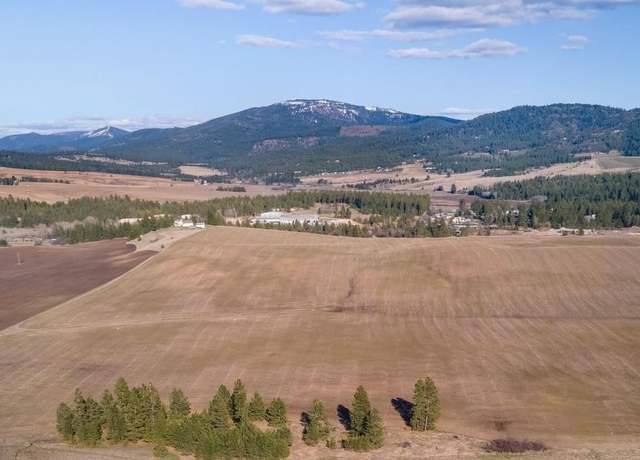 Property at 13111 E Gibbs Rd, Mica, WA 99023