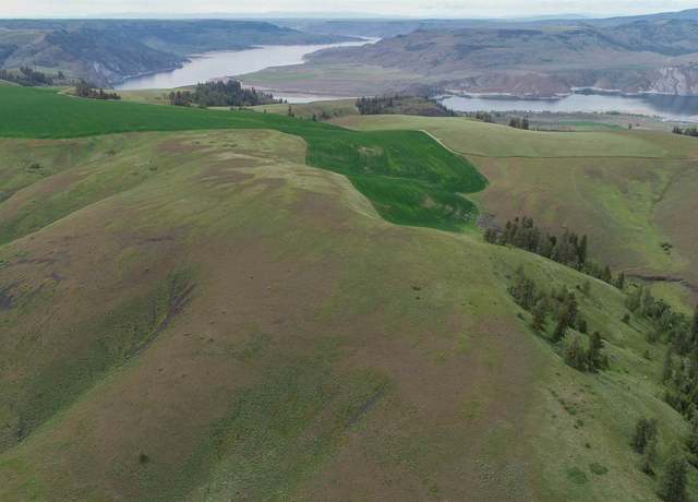 Property at NKA Spiegel Canyon Rd, Wilbur, WA 99185