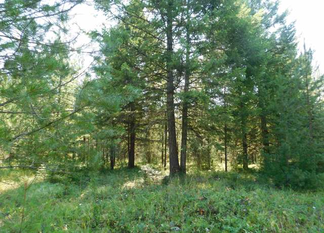 Property at XXO Deer Valley Rd Unit Parcel A, Newport, WA 99156