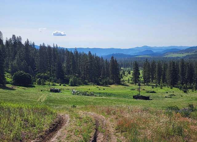 Property at xxx Hall Creek Rd, Inchelium, WA 99138