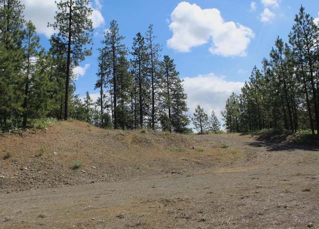 Property at Flicker 4 Sontag Ridge Dr, Davenport, WA 99122