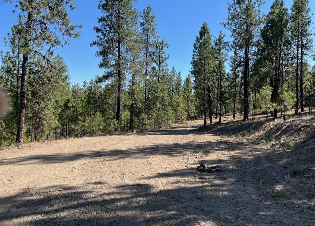 Property at Lot 3 Top Notch Bob White Ln, Davenport, WA 99122