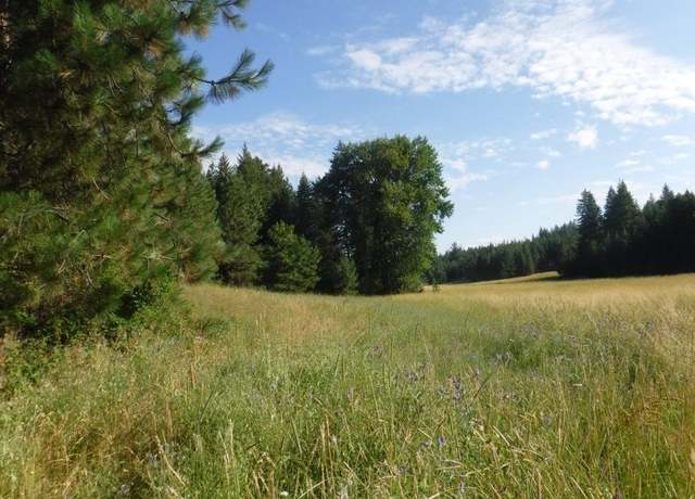 Property at Lot 1 SW Moose Ridge Way, Loon Lake, WA 99148