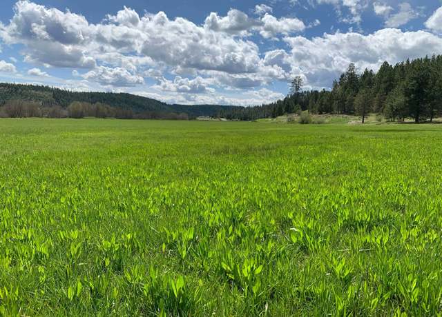 Property at 4681 Springdale Hunters Rd, Springdale, WA 99173