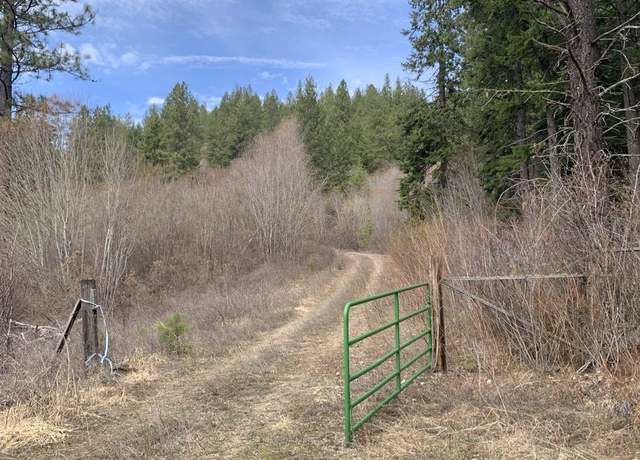 Property at 4639 Howard Hills Way, Loon Lake, WA 99148