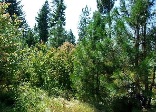 Property at XX Hoag Rd, Valley, WA 99181