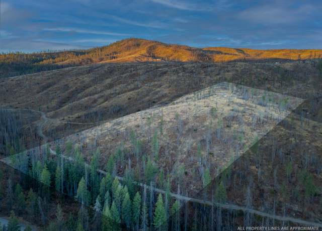 Property at Lot 11 Rail Canyon Rd, Springdale, WA 99173