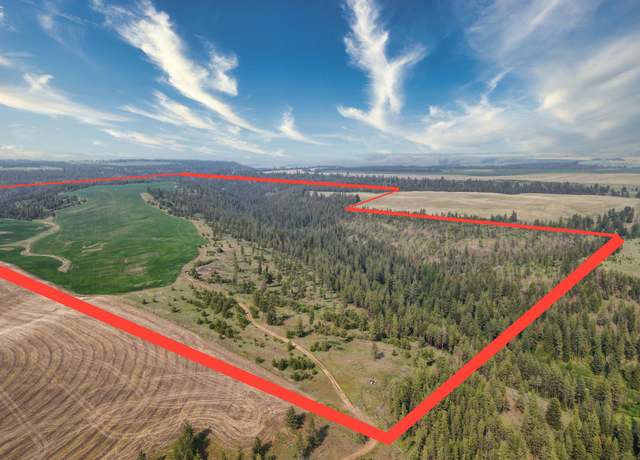 Property at 45XXX Devore Rd, Davenport, WA 99122