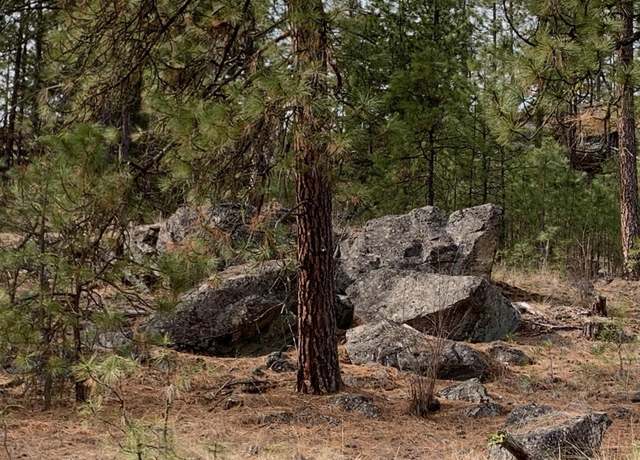 Property at Wapiti 3 Bob White Ln, Davenport, WA 99122