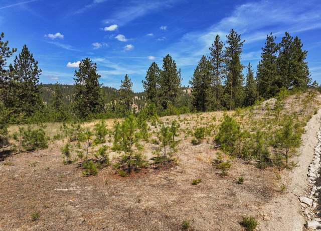 Property at NKA N Cliff Ln Unit 27345.9137, Spokane, WA 99208