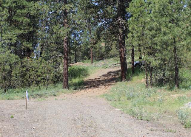 Property at Pine Forest 1 Sontag Ridge Dr, Davenport, WA 99122