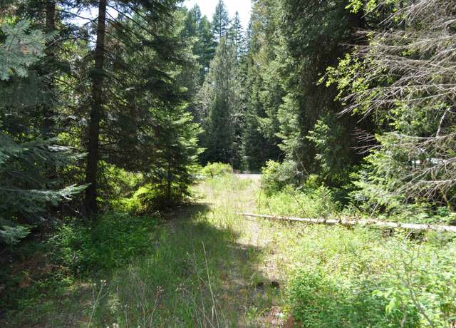 Property at 346XX N Regal Ln, Deer Park, WA 99006