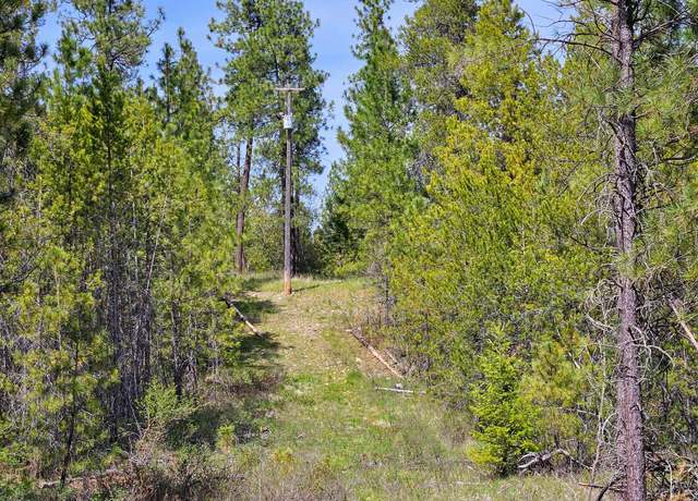 Property at 4464 Woods Way Rd, Springdale, WA 99173