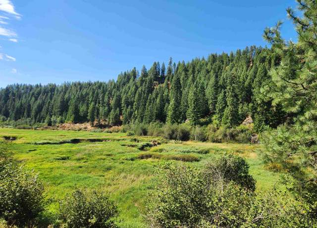 Property at 2901 Nicholson Rd, Elk, WA 99009