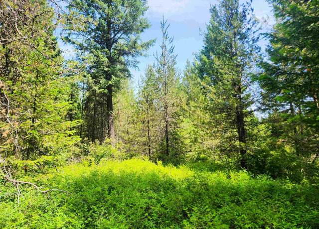 Property at 4711 X Springdale Hunters Rd, Springdale, WA 99173
